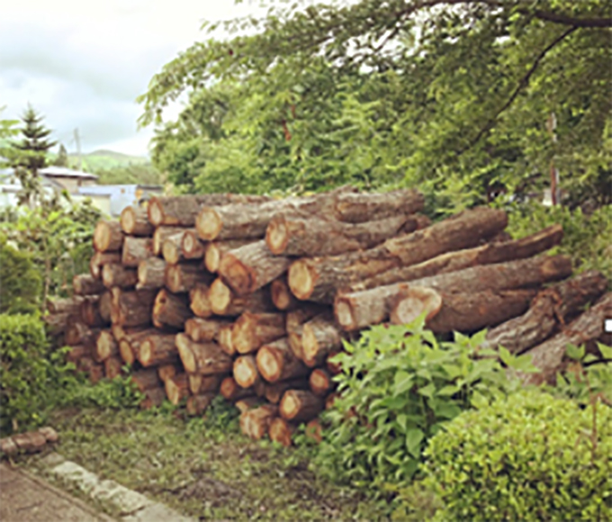 原木を手に入れる